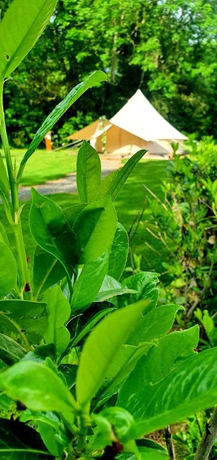Bell Tent Village Nottingham Ngoại thất bức ảnh